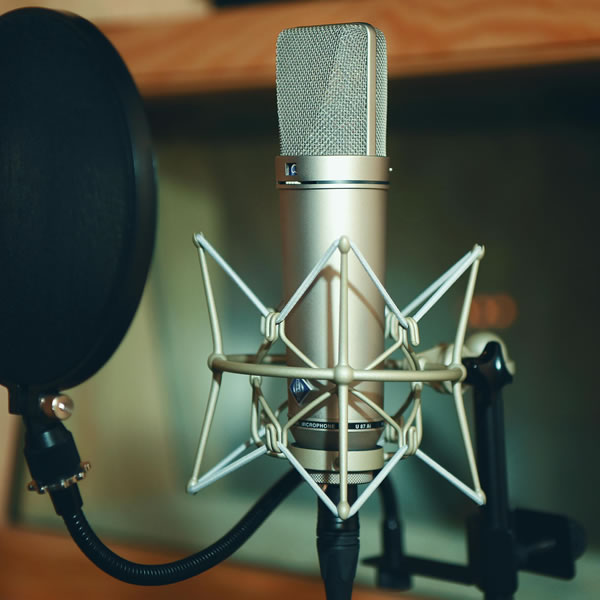 What is Voice Work Academy?